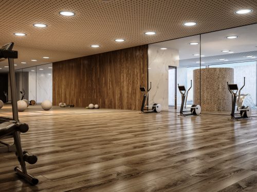 KRONOS (Estepona)_gym