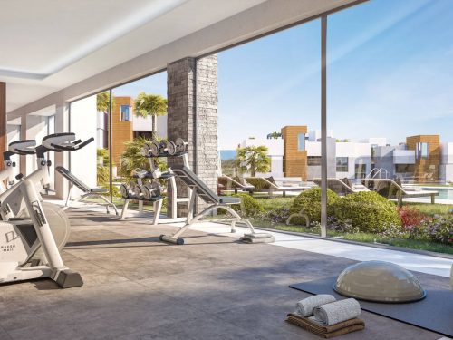 Artola_Gimnasio_ALTA